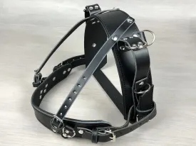 Standard Leather Guide Straight Front Dog Harness