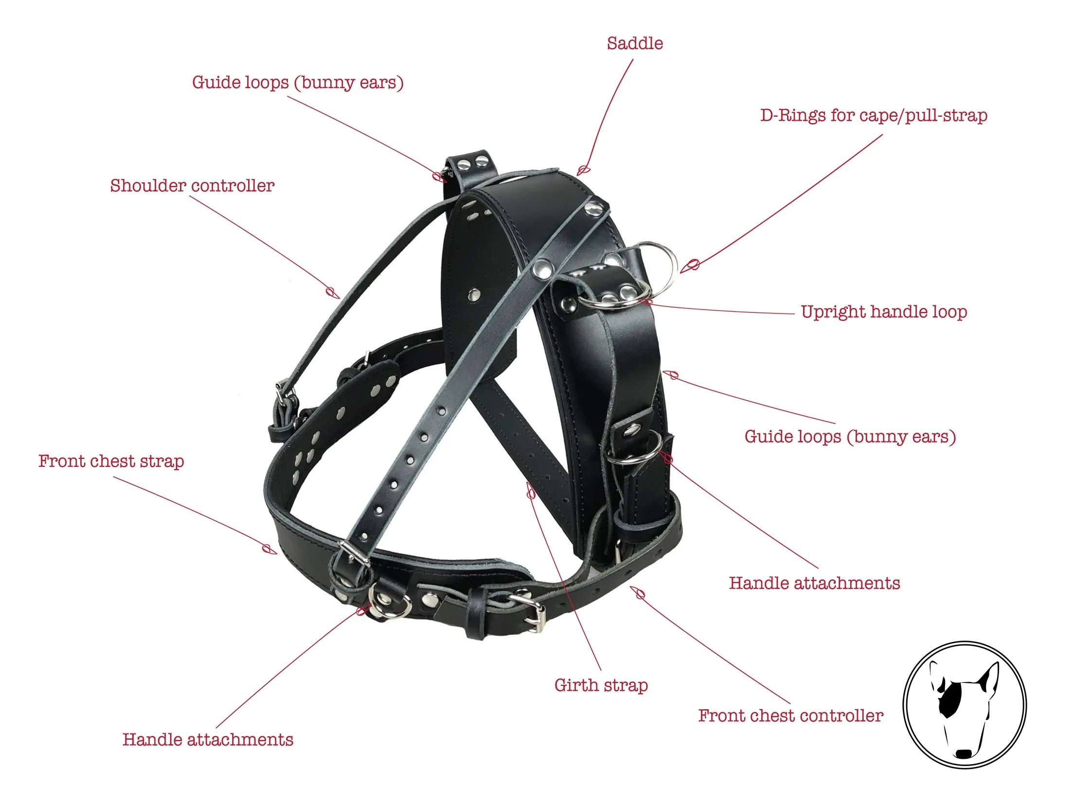 Standard Leather Guide Straight Front Dog Harness