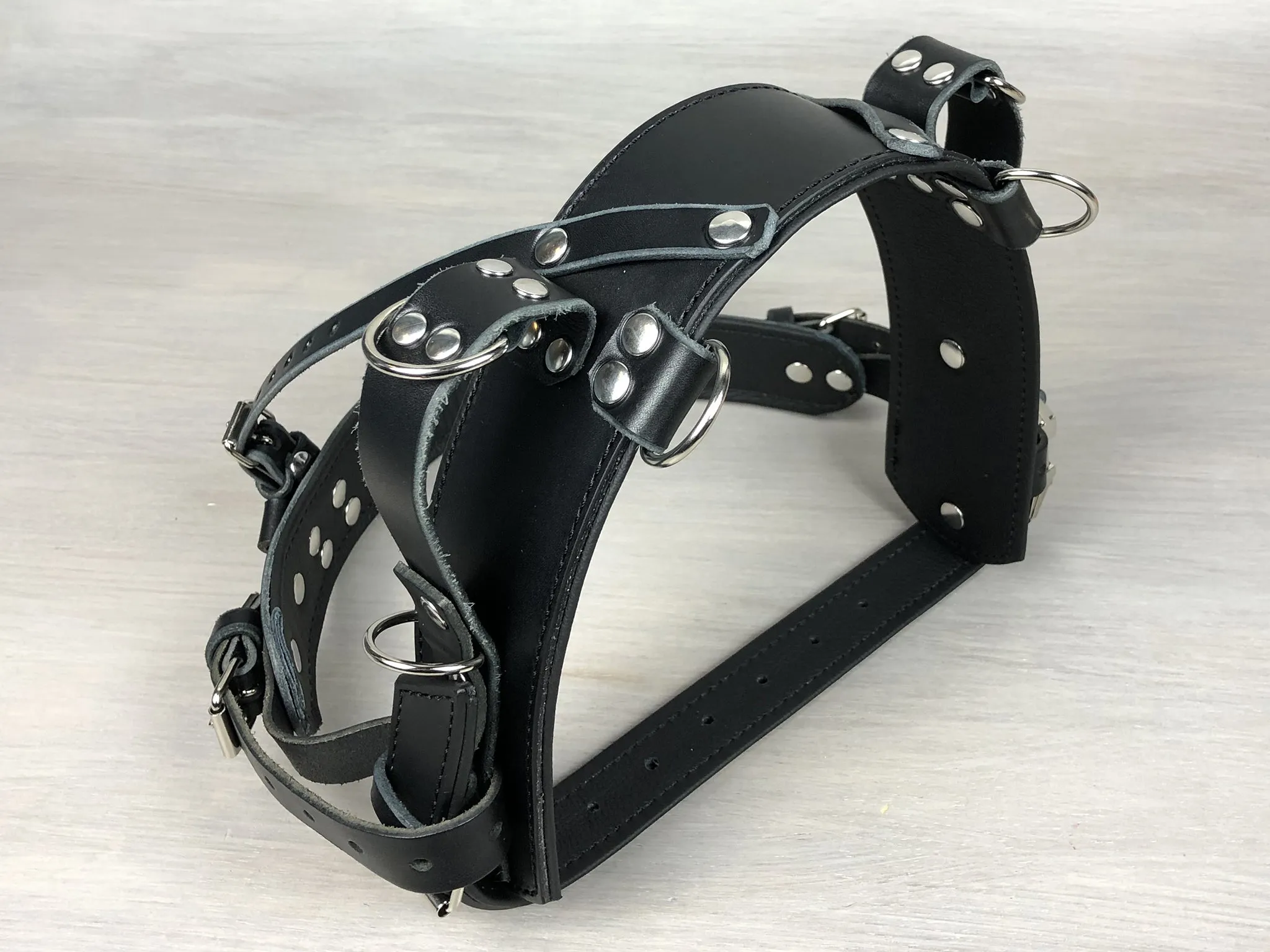 Standard Leather Guide Straight Front Dog Harness