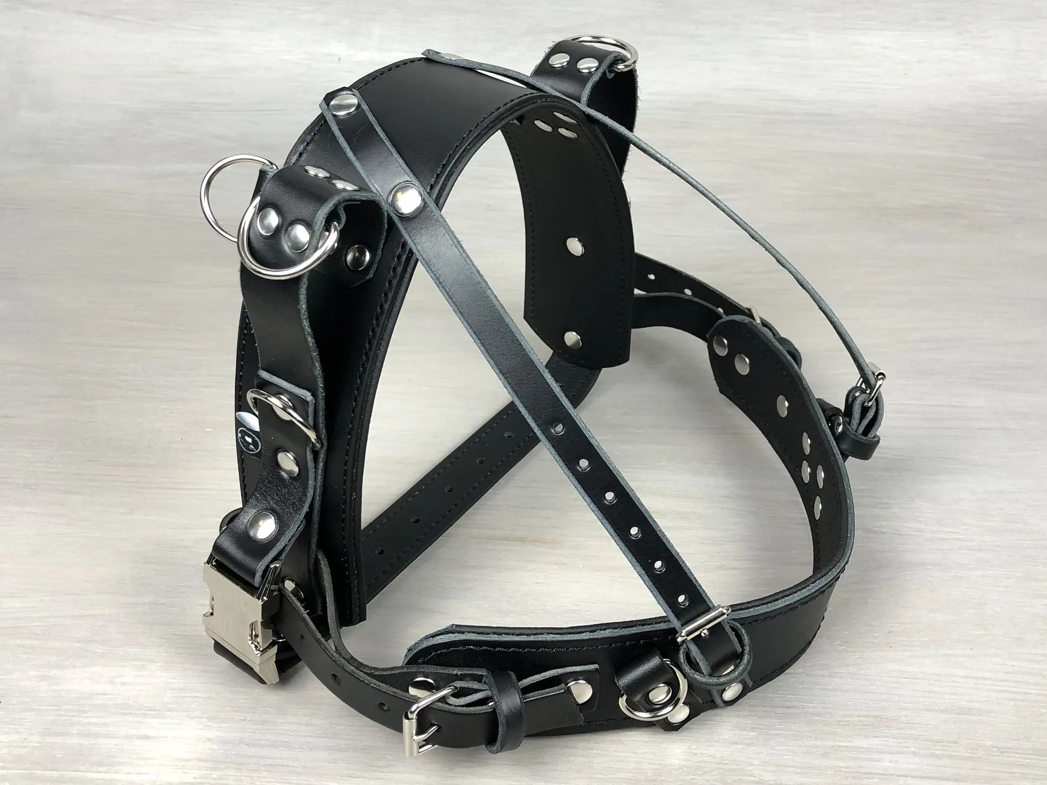Standard Leather Guide Straight Front Dog Harness