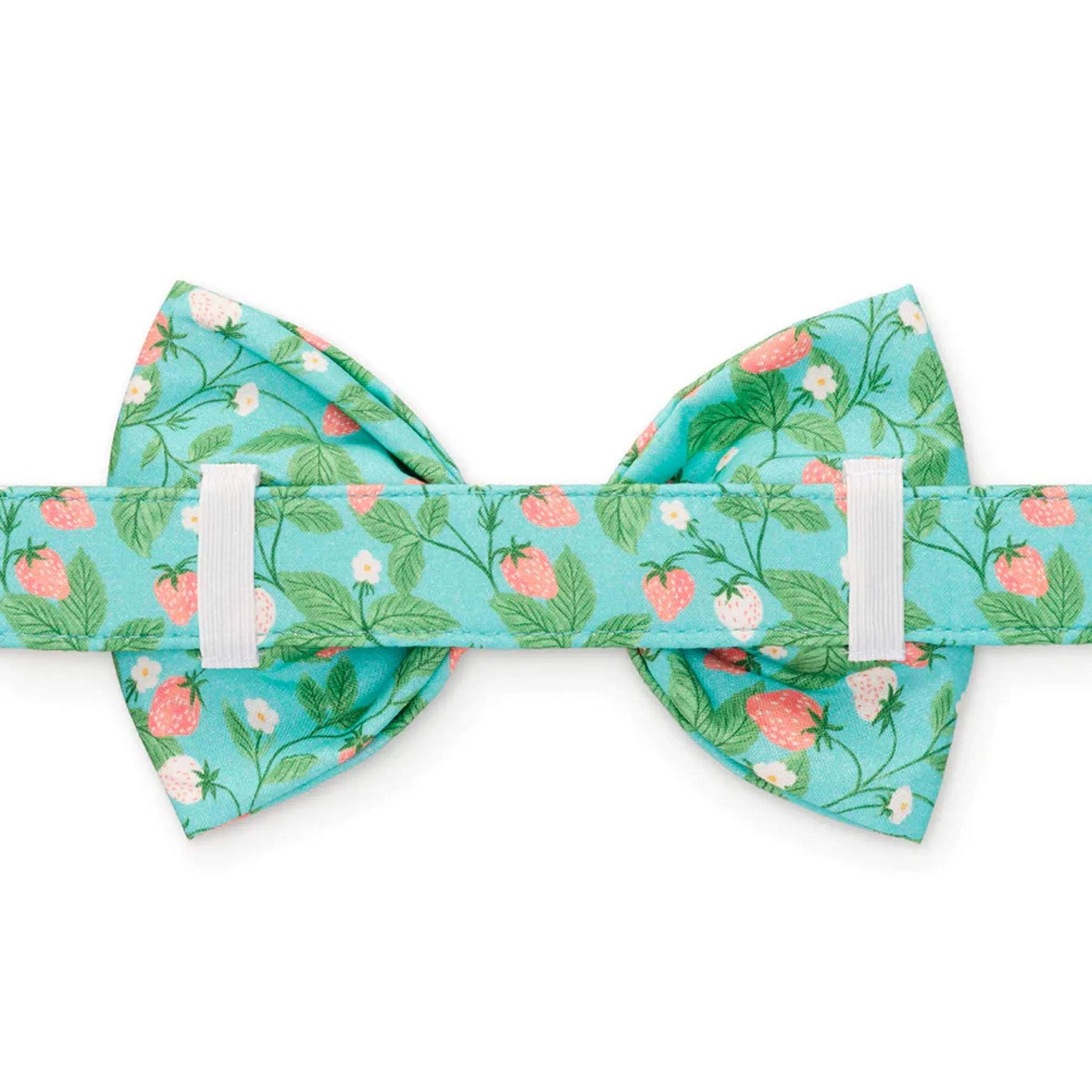 The Foggy Dog Bowtie - Berry Patch