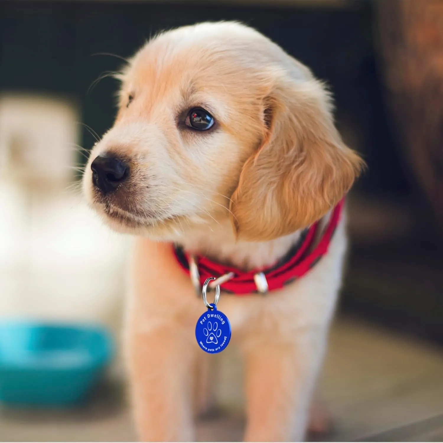 Ultra Lightweight Pet ID Tag for Small Dogs & Cats  Online Pet Profile, Instant Profile Access, & Scan Location Alerts (Round Blue)