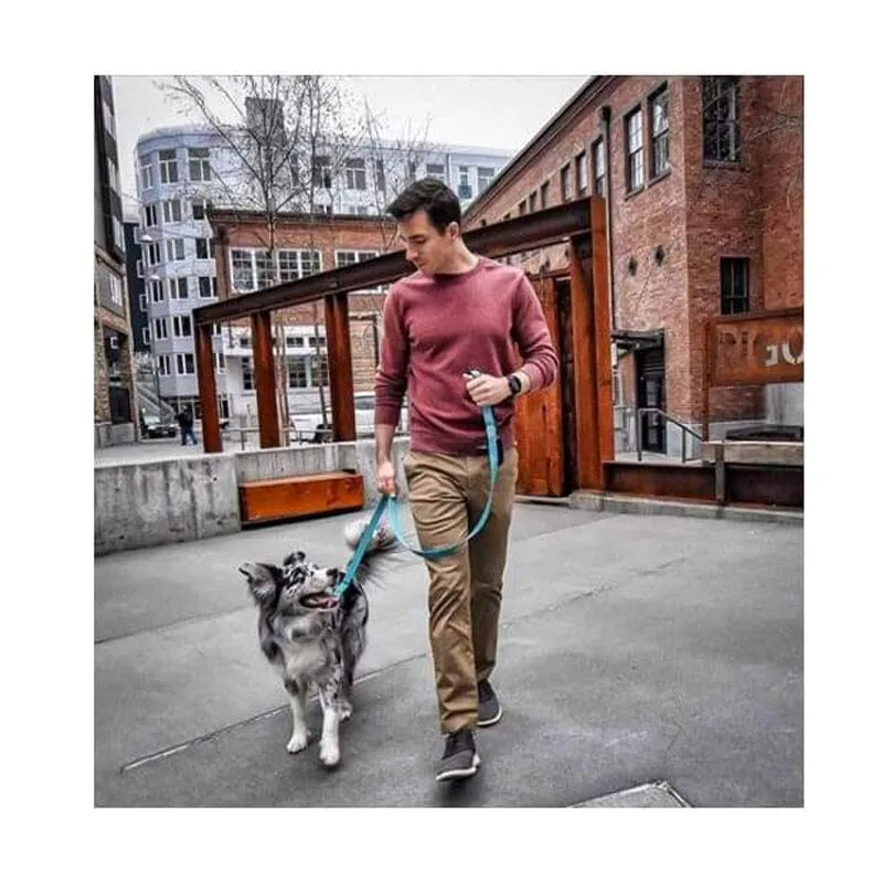 Weekender Click Leash with Reflective Stitching