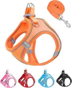 XXXS Orange Soft Mesh Dog Harness and Leash Set,No Escape Puppy Harnesses for Training Walking Reflective Adjustable Puppy Vest for Small Medium Dogs, Cats (Orange, XXXS) XXXS Orange Soft Mesh Dog Harness and Leash Set,No Escape Puppy Harnesses for Training Walking Reflective Adjustable Puppy Vest for Small Medium Dogs, Cats (Orange, XXXS)